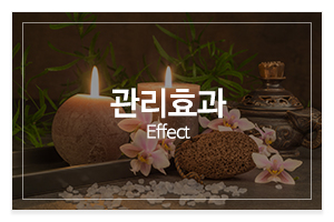 제주힐링매니아_메인중간_관리안내