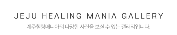 제주힐링매니아_메인하단_내용